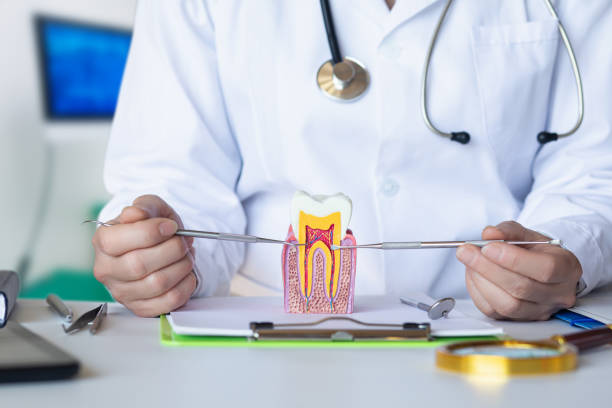 Best Emergency Treatment for Oral Infections in Enetai, WA